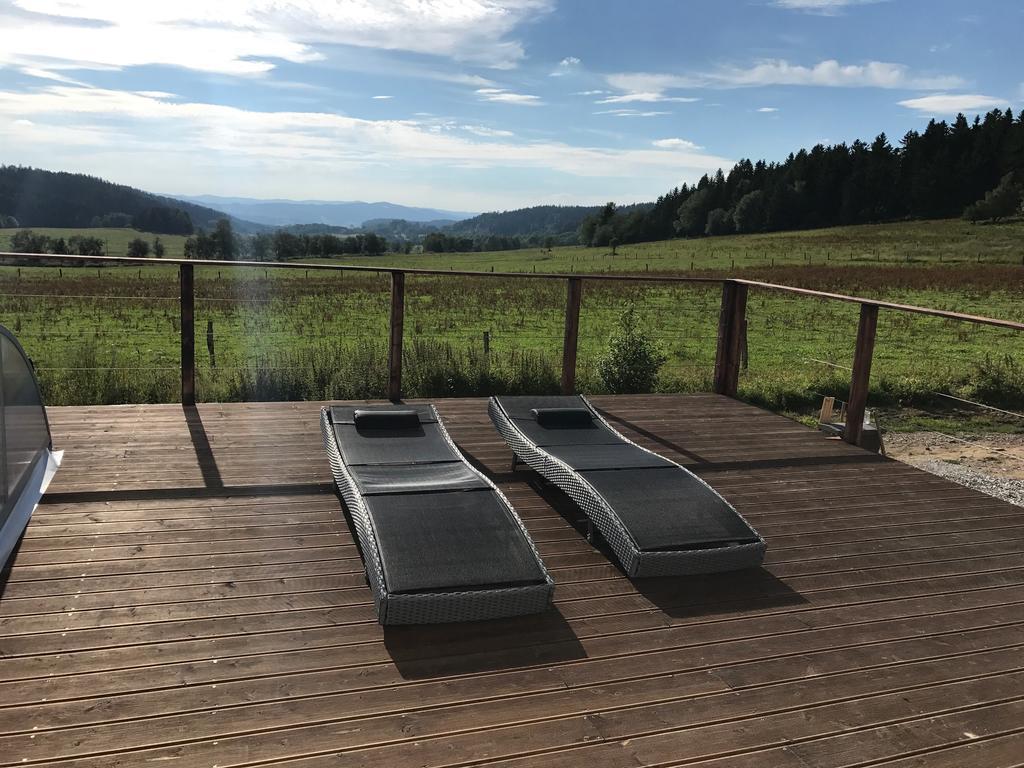 Vila Pasecna - Lipno Přední Výtoň Zewnętrze zdjęcie